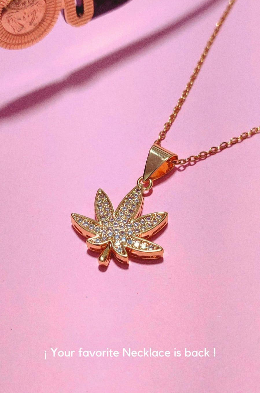 'SORRY I'M STONED' Necklace